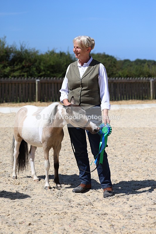 3E7A9518 - Class 30: Mnititature Horse