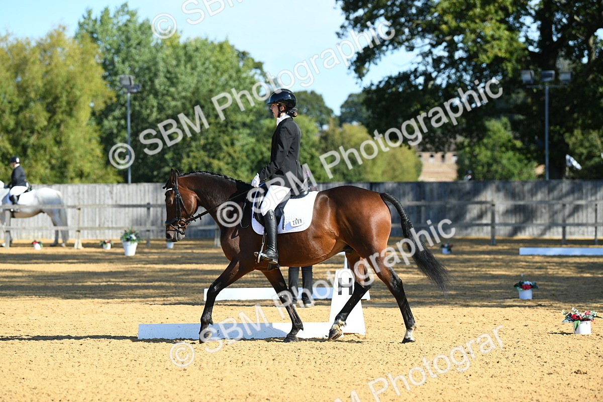 SBM_18001 - D4 - Small Tour Championship - Intro B