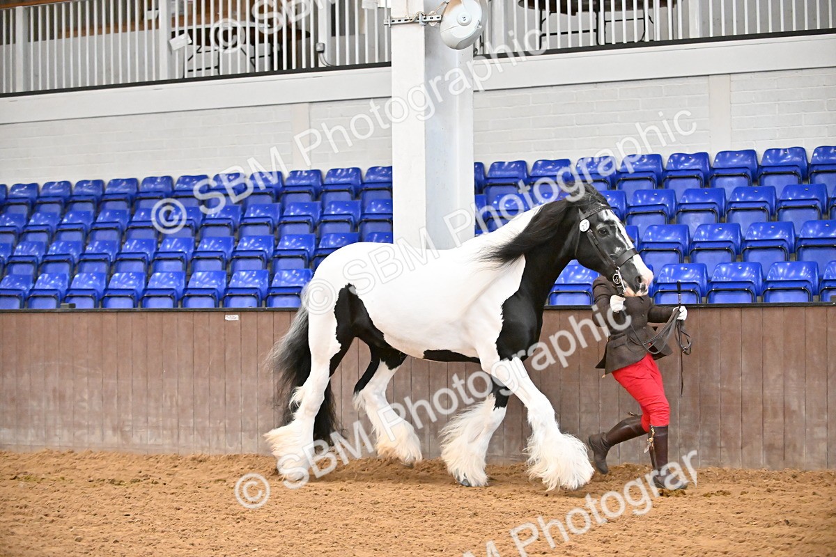 SBM_000677 - Class 11,12,13 - SSADL In Hand Seniors