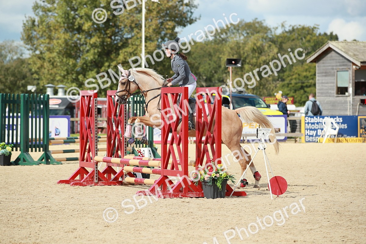 SBM_25206 - J28 Senior 60cm Championship