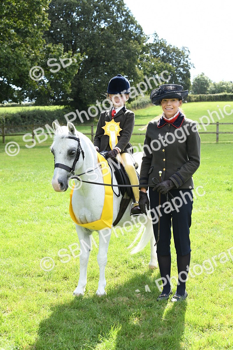 SBM_42637 - S20 - Lead Rein Mountain & Moorland Pony