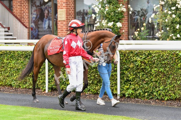 100923-Pony Race 2-1614 - Pony Race 2 12.45 The Dragon (TV and Film) Studios Pony Race 148cm & Under
