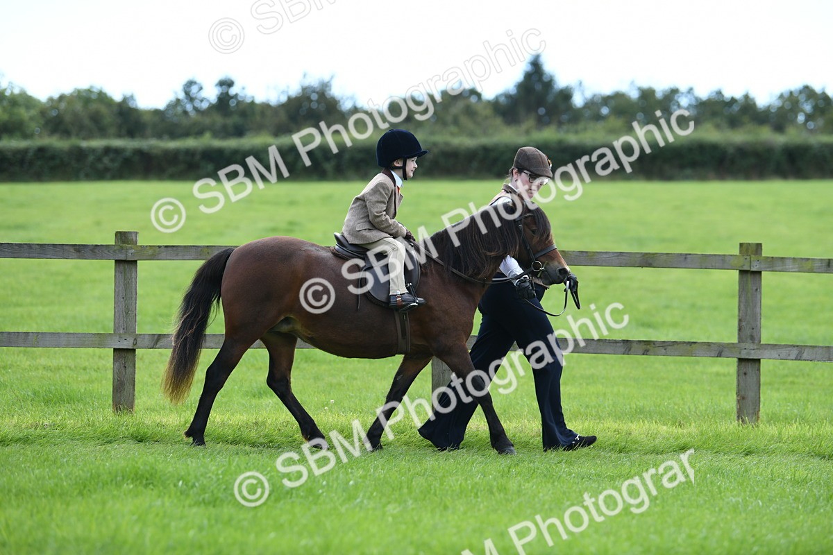 SBM_42451 - S20 - Lead Rein Mountain & Moorland Pony