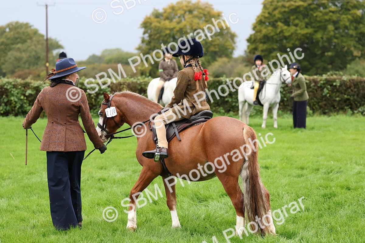 SBM_33351 - S8 - Best Turned Out