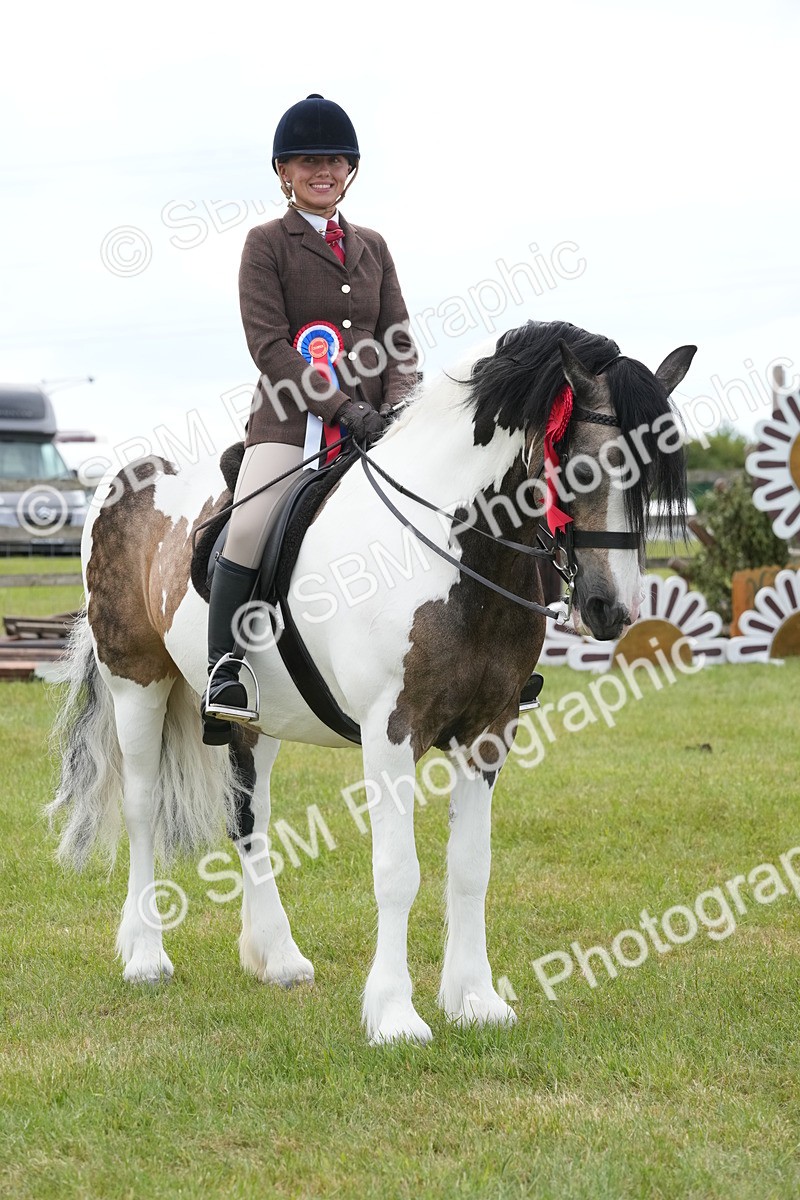 SBM_17680 - Class 107-108 - LIHS BSPS Performance Coloured Horse Pony