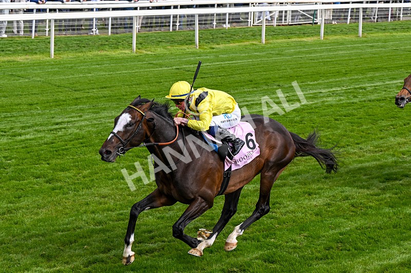 150526-Race 5-Rahiebb-0299 - Race 5 4.05pm Boodles Yorkshire Cup Stakes