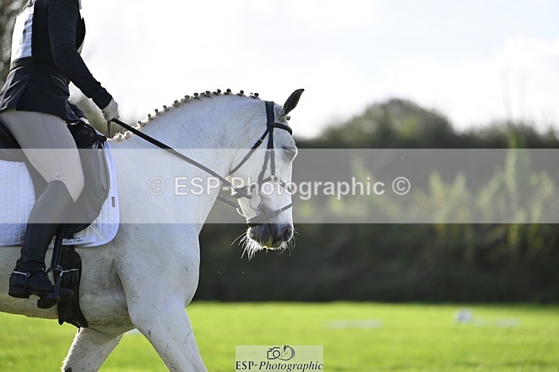 241025-100042-05671 - 356-Demelza.Barnes-GRAGEELAGH.BLUEBELL