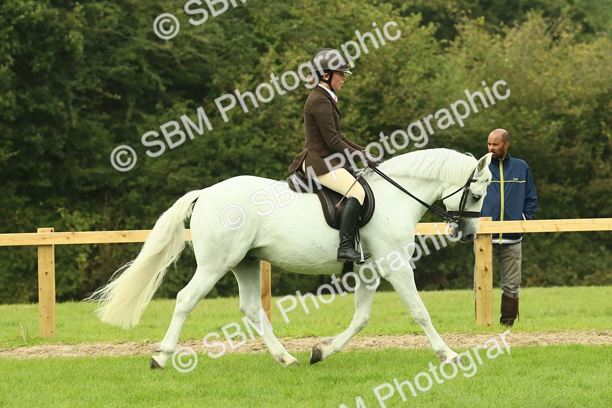 SBM_71870 - S60 - Mountain & Moorland Ridden Large Breeds