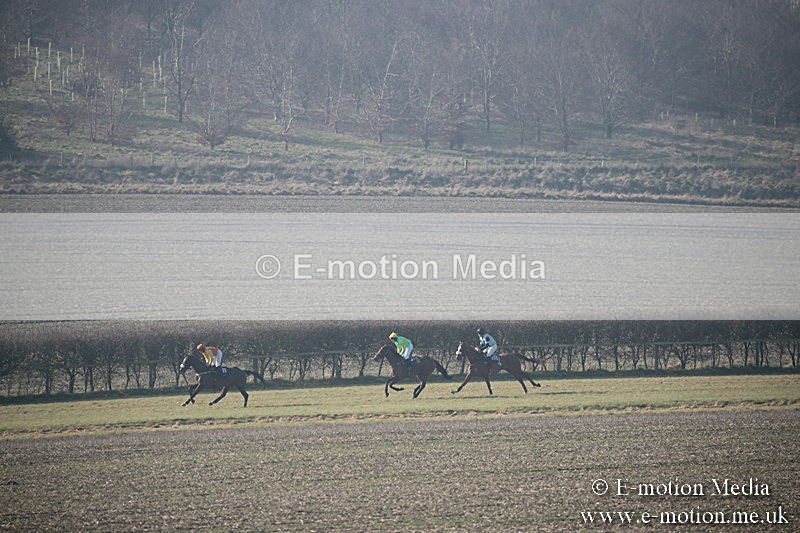 PtP 230219 290 - Vine & Craven Point-To-Point - Barbury 23/02/19