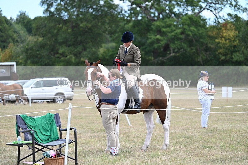 WJ7_5699 - Class 12 Ridden Cob