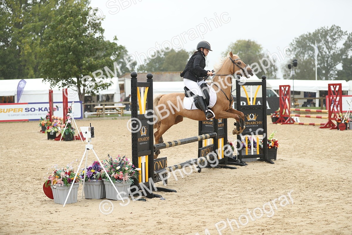 SBM_73923 - J16 - Junior Pony 75cm Championship