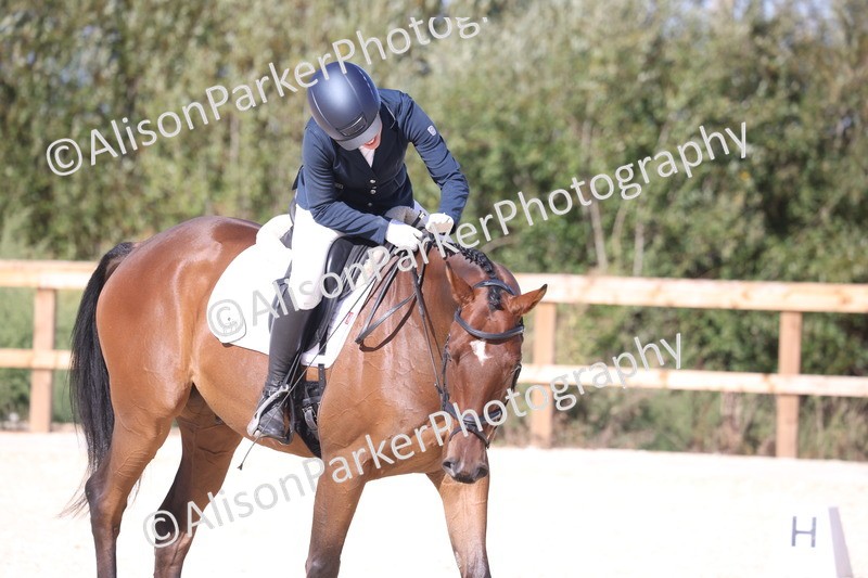 20260905-1498 - Class 5 - Novice 2