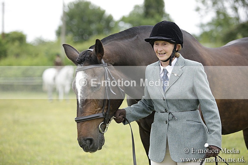 BVR160717-731 - Ring 2 BVRC Show 16/07/17