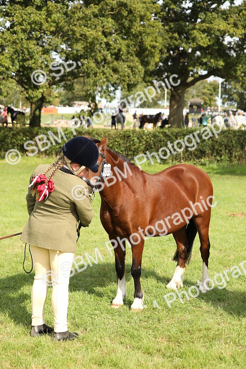 SBM_68605 - S40 - Junior Handler 9-12 Years
