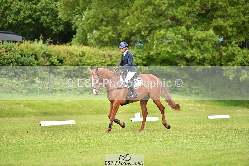 240523B-131344-02344 - 5 Year Old