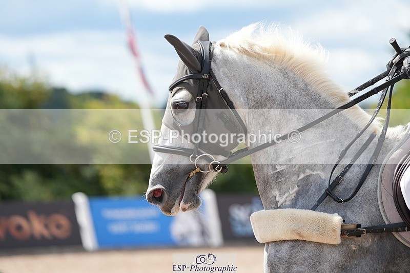 250731-151128-02091 - Cls 11 A&B 1.10cm Nat Am & 1.10 Open