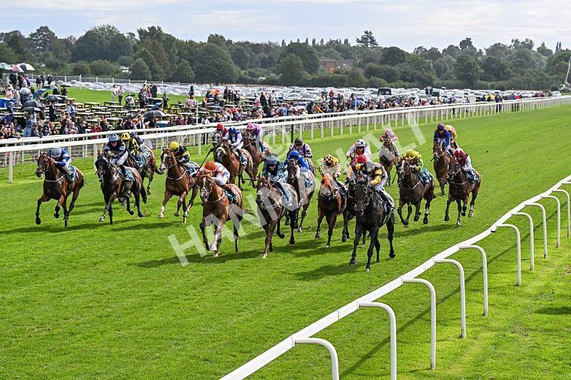 060926-Race 2-Oriental Prince-0100 - Race 2 2.05pm Fine Details Car Valeting Sprint Handicap