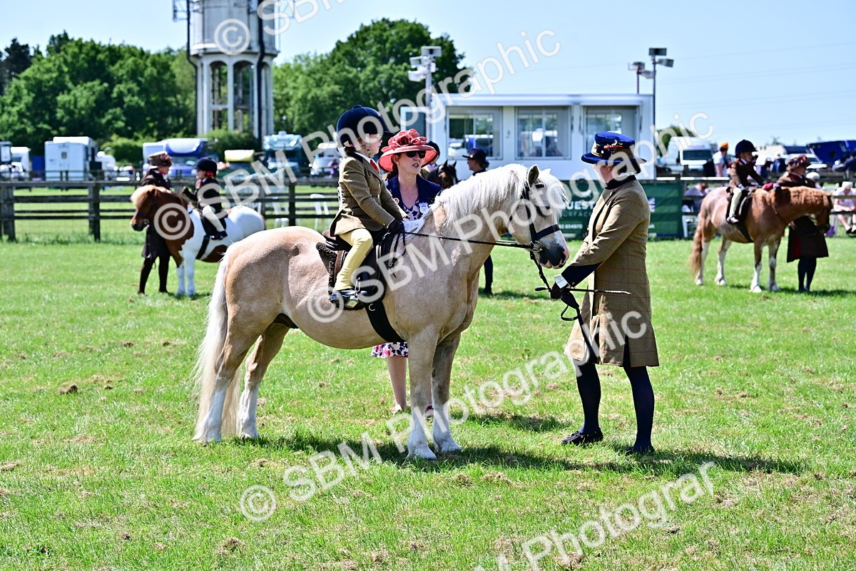 SBM_05926 - Class 59-60 - TSR M&M  Lear Rein and First Ridden Amateur of the year