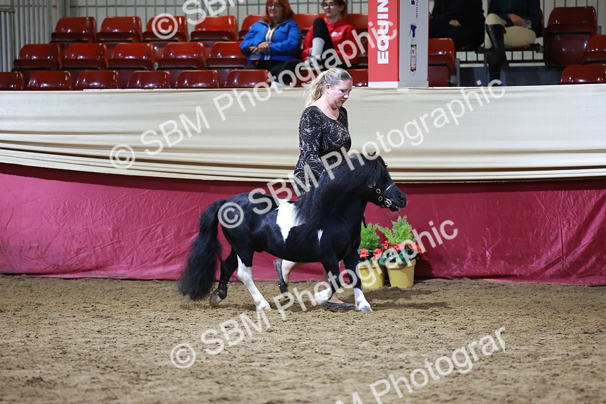 SBM_21515 - Class V - Champion of Champions