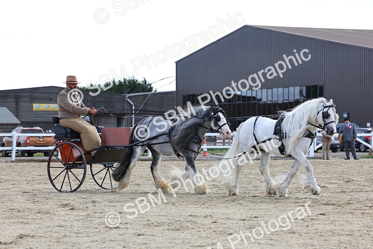 SBM_001175 - Class 16 - Pairs ,Multiples and Tandems