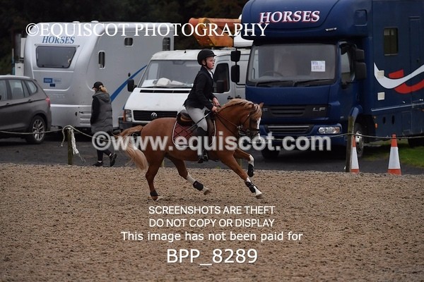 BPP_8289 - CLASS 1 Club/ Unaffiliated 60cms Open