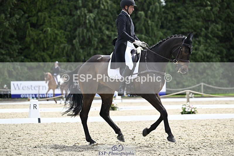 000101-190416-03840 - 426-VISCOUNT_VIKTOR-Tim_Price