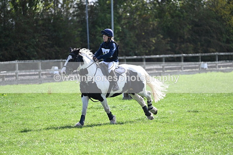 WJ7_1619 - Time 13:56 to 14:24