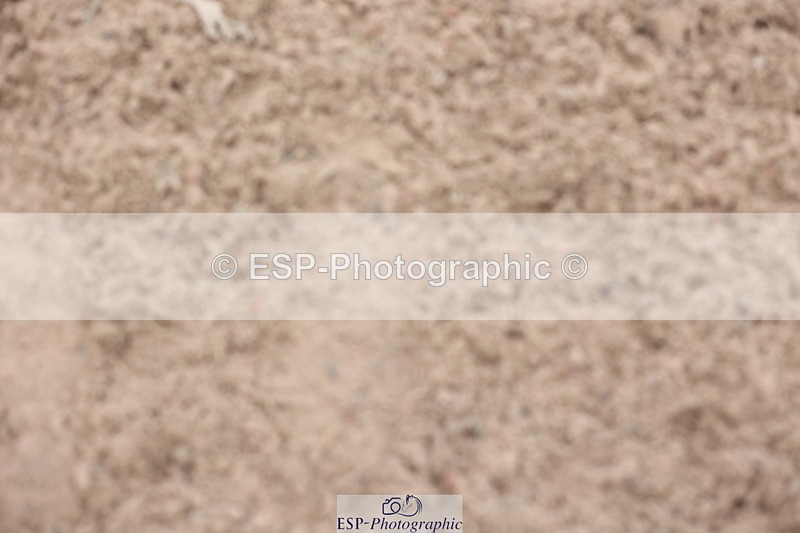 241101A-150802-02827 - FRI Cls 7 Grade B&C Champ Qualifier