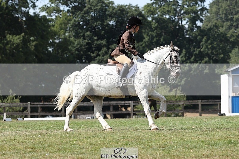 250823A-132029-31292 - Arena D