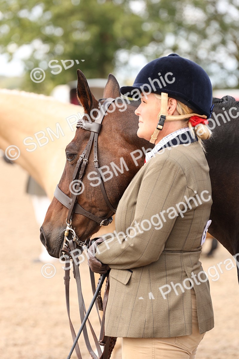 SBM_14709 - Class 208 - IH Veteran Horse