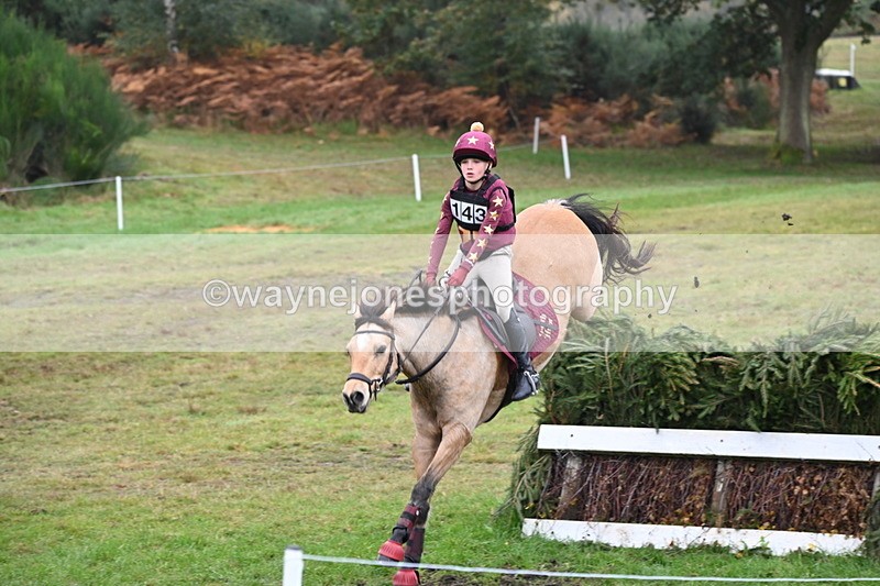 WJ6_2481 - 80cm Cam 1 Time 11:23 to 12:04