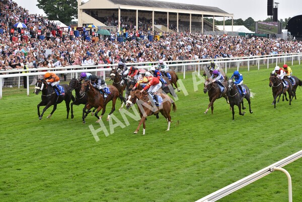 yr23072022r2-35 - Race 2 2.40pm Sky Bet Dash