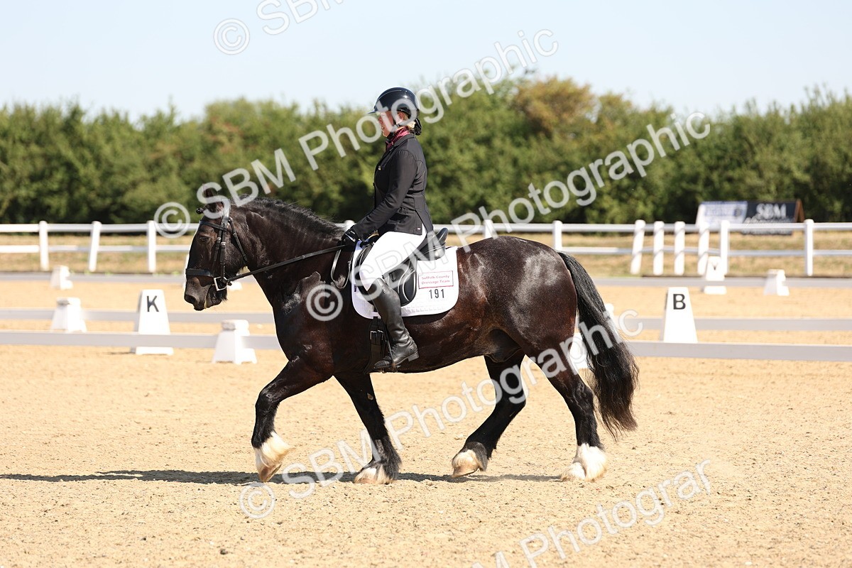 SBM_001056 - Intro 2