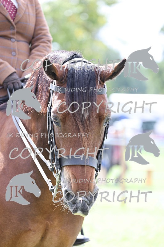 APP_3237 - Class 11 Veterans ridden