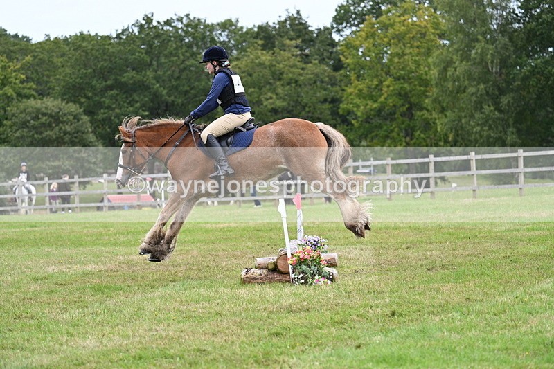 WJ7_7717 - 40cm Time 10:49 to 11:18