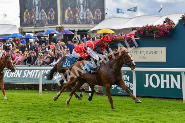 150723-Race 7-Roundhay Park-8897 - Race 7 5.30 pm John Smith's Sprint Handicap