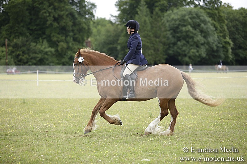 BVR160717-1531 - Ring 1 BVRC Show 16/07/17