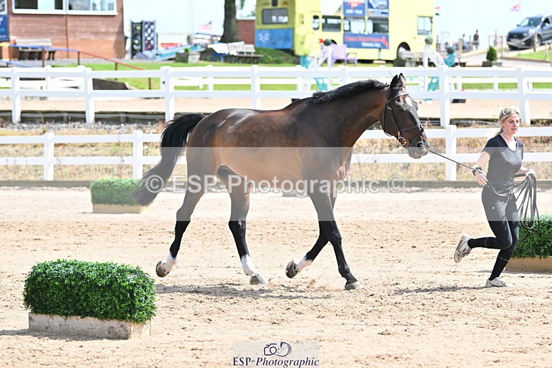 240717A-145238-02362 - Trot Up 2pm to 3pm - This folder is not in time order