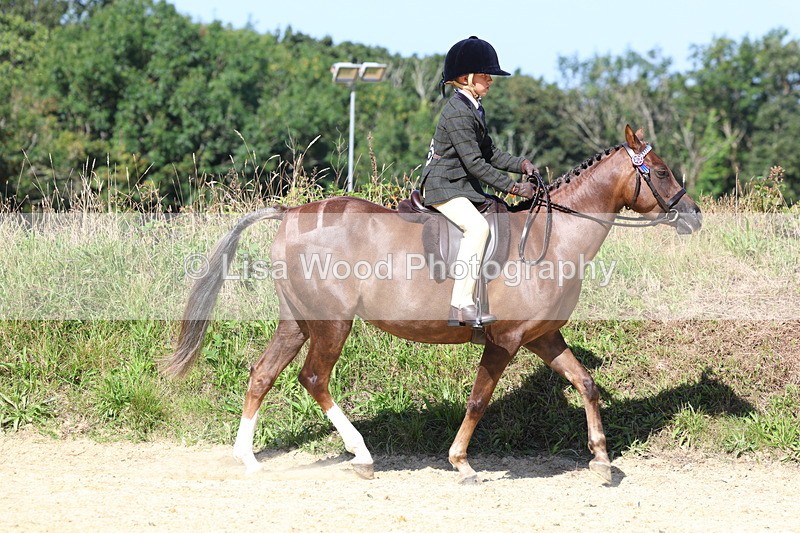 3E7A8101 - Class 16: First Ridden