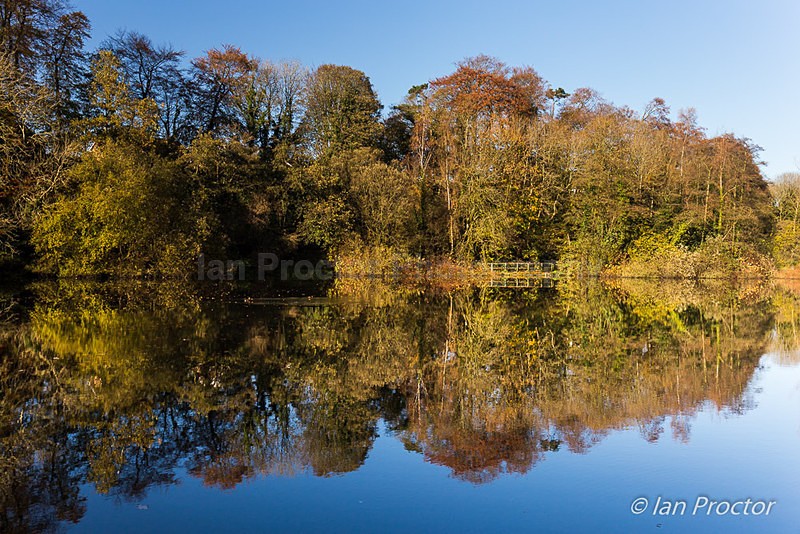 Reflection at Duncan's Dam, Lisburn. - Autumn