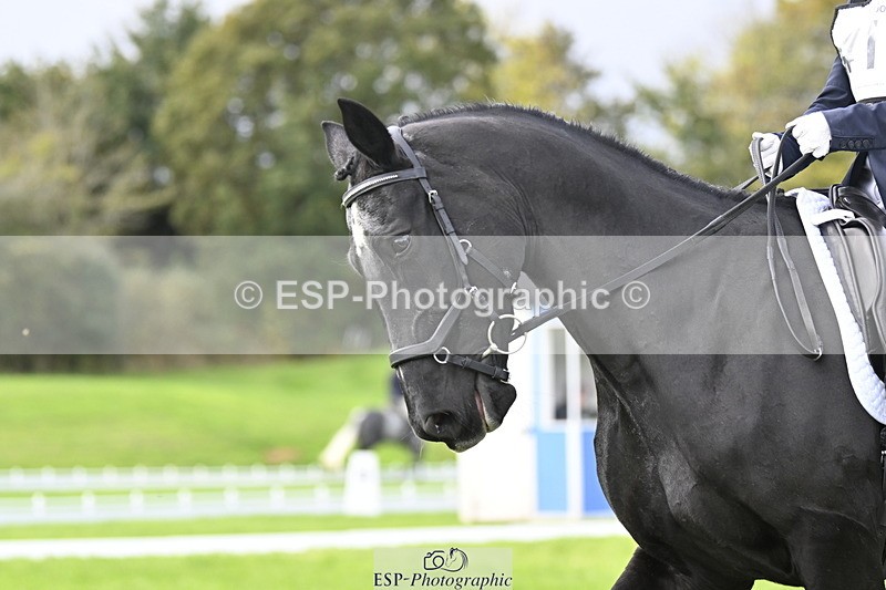 251023A-113552-03902 - F-413-Lucy.Jowett