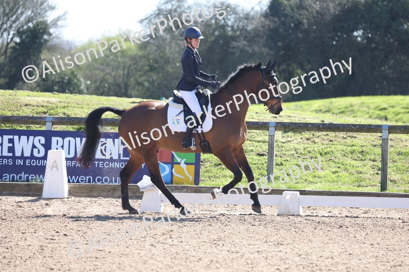 20260318-0445 - Class 5 - Novice 2