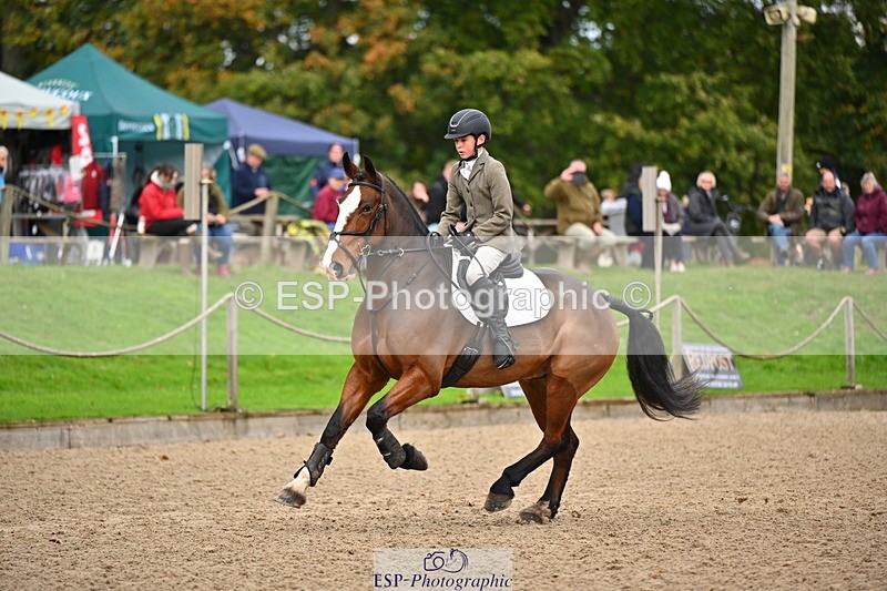 251026A-105320-23762 - D-351-Thomas.Harris