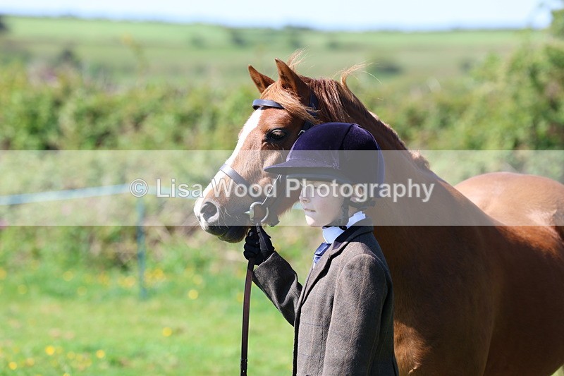 3E7A9946 - Class 17: Young Handler