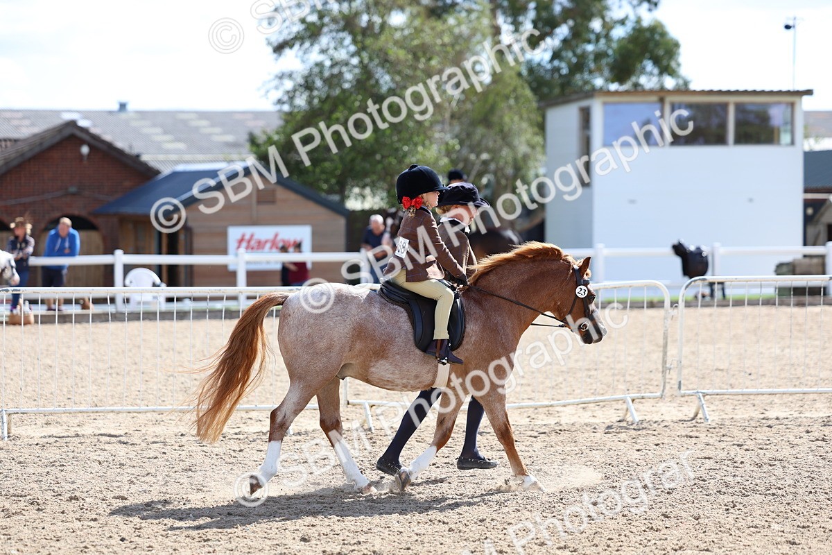 SBM_13027 - Class 309 - Lead Rein Pony