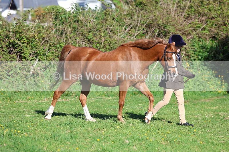 3E7A8303 - Class 12: M & M Small Breeds