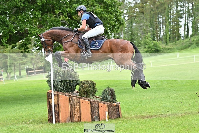 240525-161151-17484 - 231-DHI_ROCK_DANCER-Roberto_Scalisi