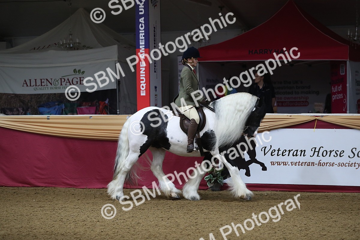 SBM_10317 - Class 102 Equitation (best rider) Adult
