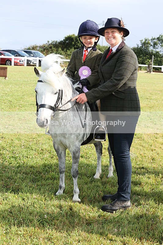 JPP_0467 - Class 14: Cornish Combination Leading Rein