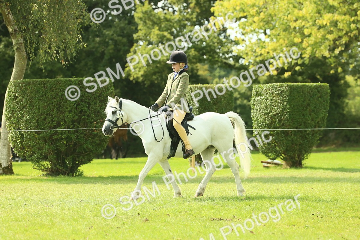SBM_66490 - S34 - Rehabilitated Rescue Horse & Pony In Hand & Ridden